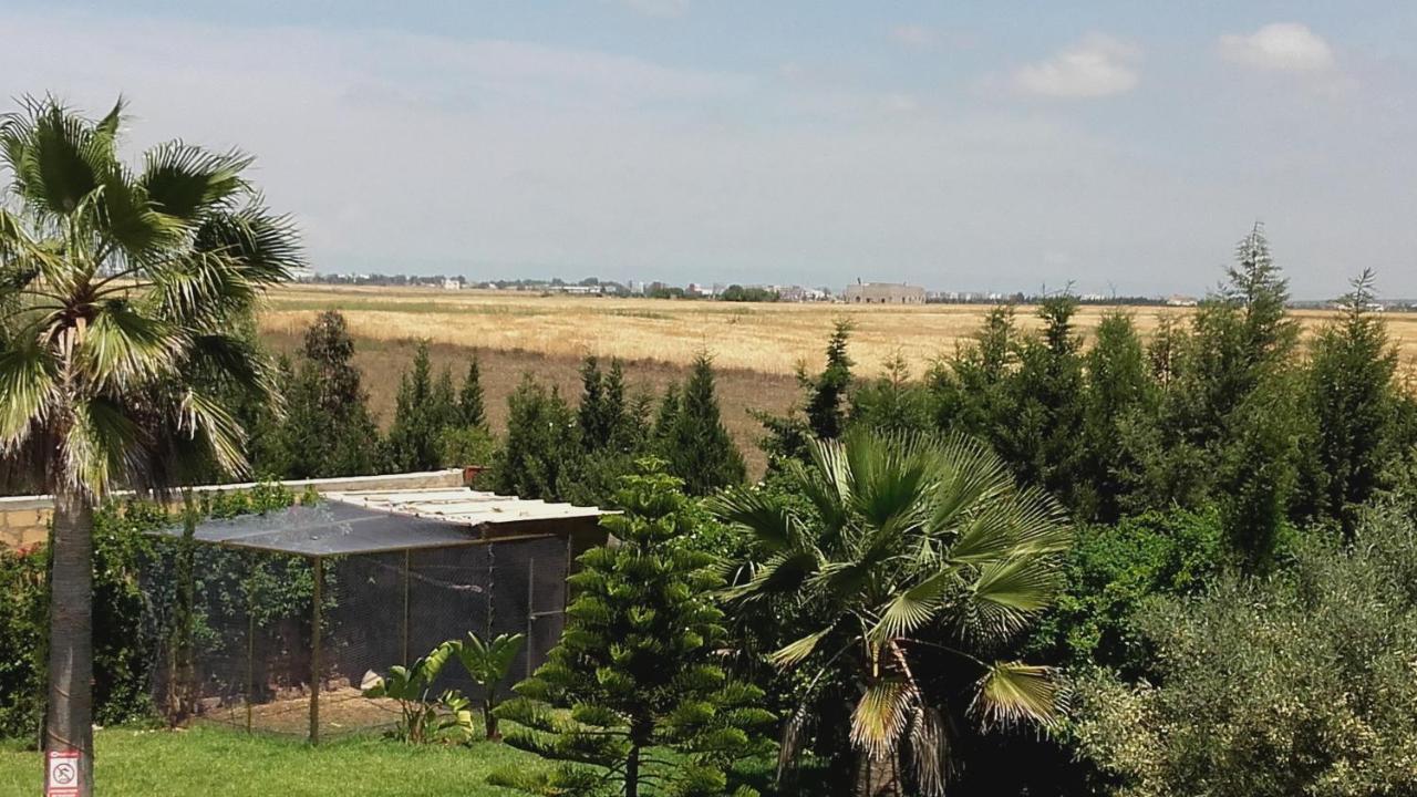 Riad Tanjil Nouaceur Buitenkant foto