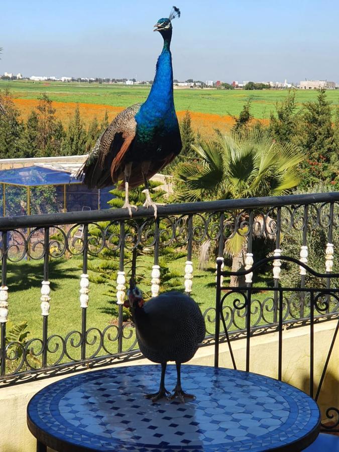 Riad Tanjil Nouaceur Buitenkant foto